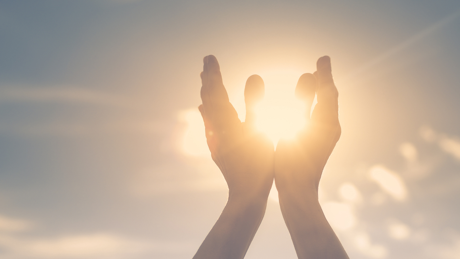 こころとからだ